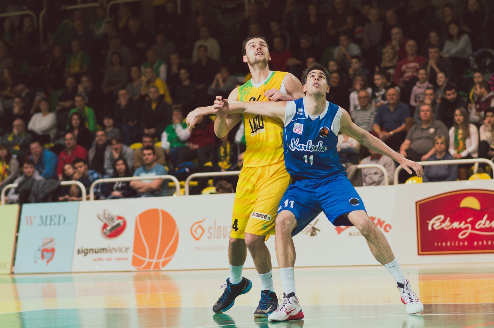 Fotogaléria zo zápasu Levickí Patrioti vs. VŠEMvs Karlovka Bratislava