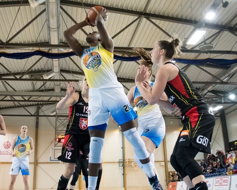 Čajky prehrali s Hradcom a do play off CEWL pôjdu z druhej priečky skupiny A