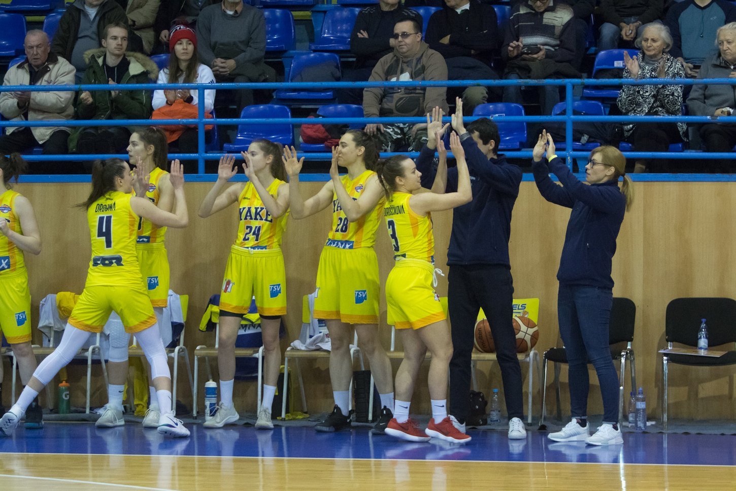 Piešťanské Čajky a Young Angels Košice čaká v Brne boj o titul v Stredoeurópskej lige