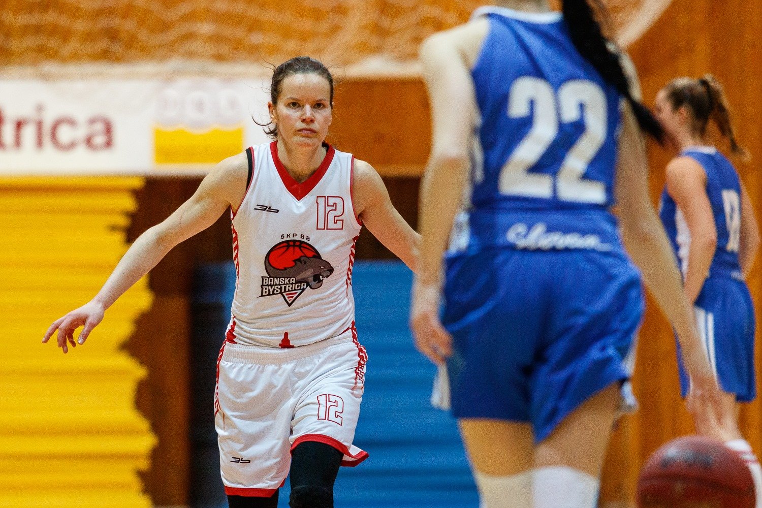 Bystričanka Van Dalen: Láka ma aj trénovanie extraligového družstva