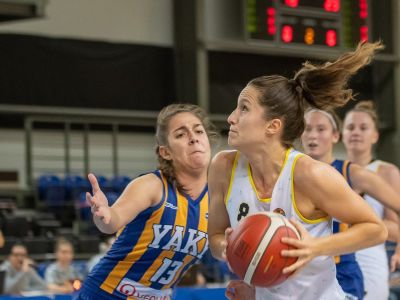 V Niké Extralige žien hrozia „korona kontumácie“, v Piešťanoch sa hrať určite nebude