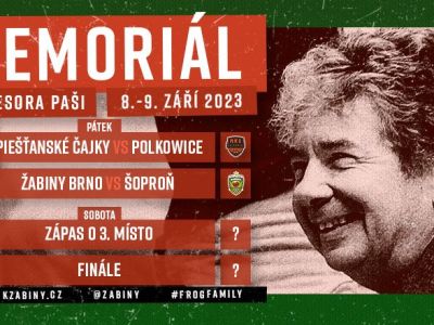 Piešťanské Čajky pokračujú s prípravou na turnaji v Brne