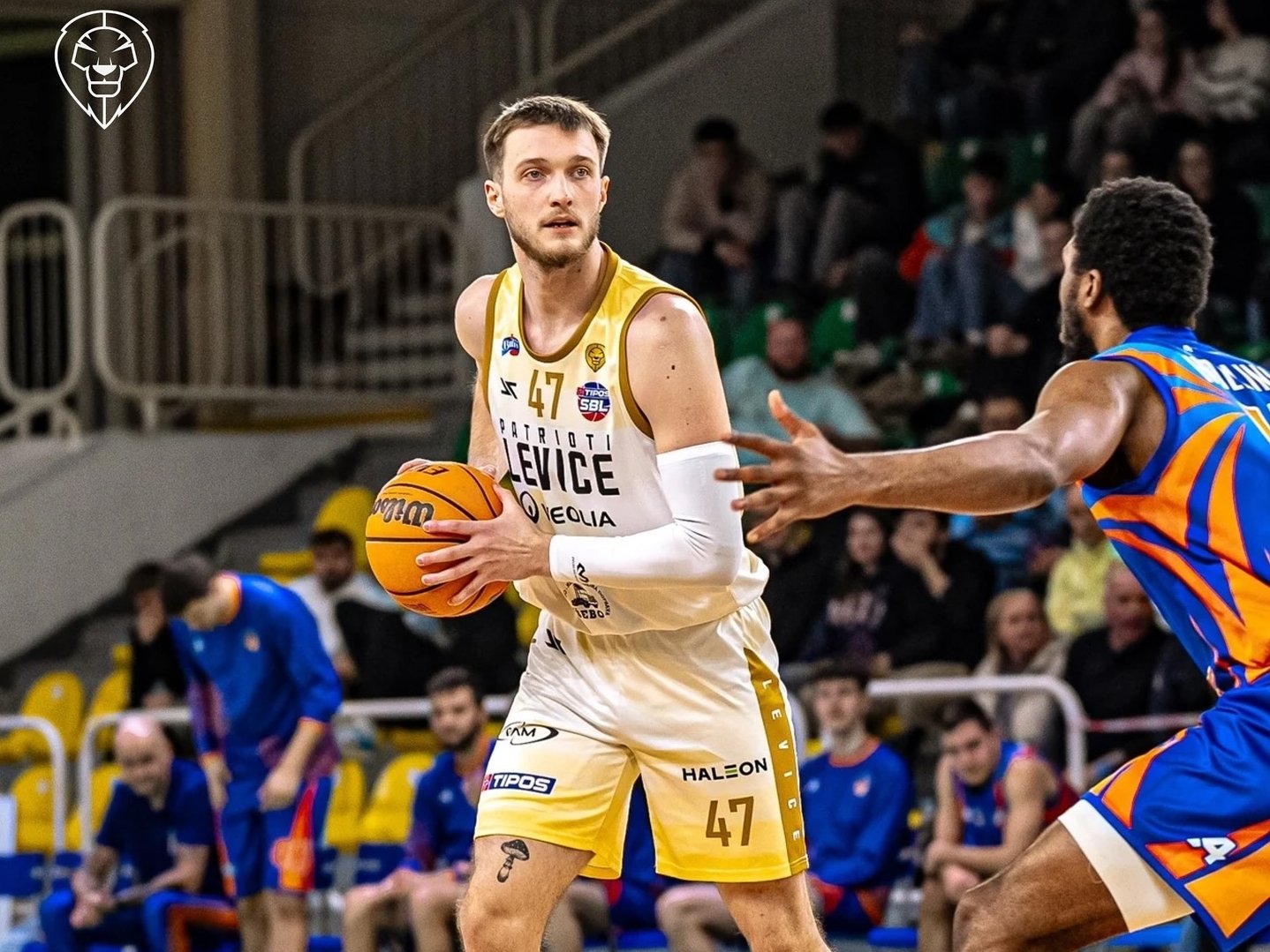 FOTO/VIDEO: K stovke chýbal jediný bod, Levice nedali šancu Lučencu