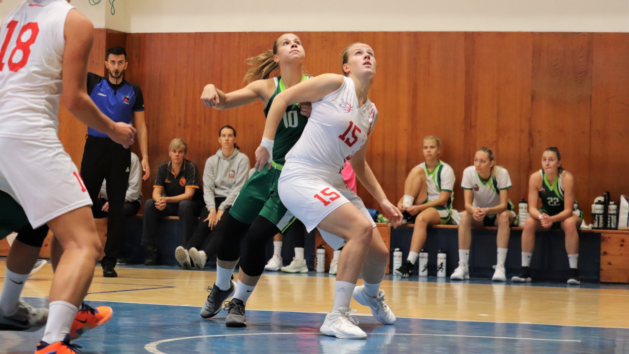 Krajčovičová: V prvej lige nám stačili základy, extraliga si vyžaduje viaceré herné varianty